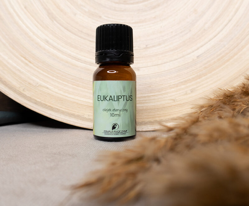 Olejek eteryczny eukaliptusowy