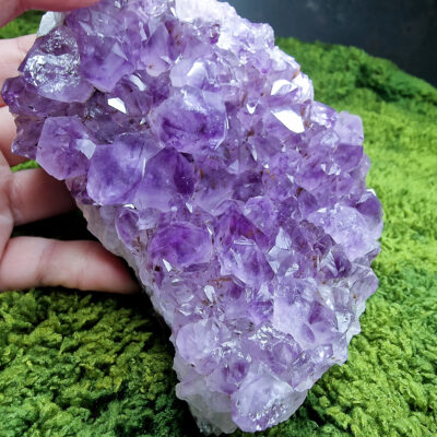 Naturalna duża szczotka ametystu 818g 8 duża-szczotka-ametystu