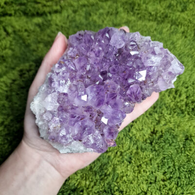 Naturalna duża szczotka ametystu 818g 12 naturalny-ametyst